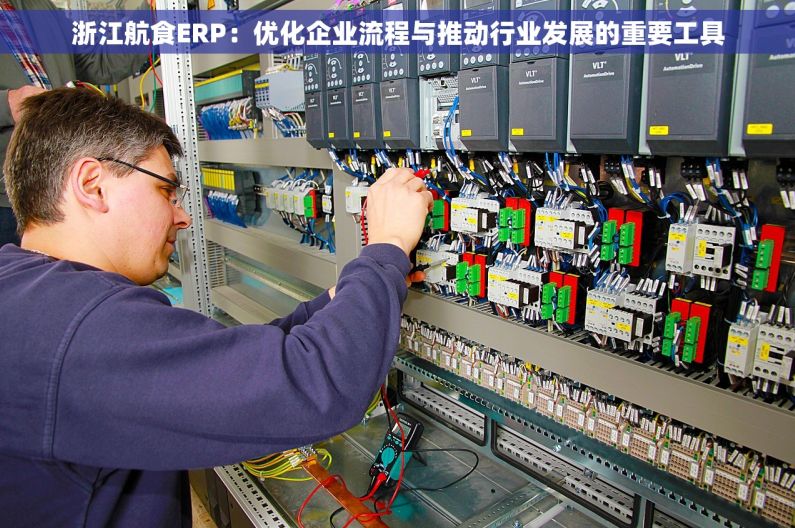 浙江航食ERP：优化企业流程与推动行业发展的重要工具