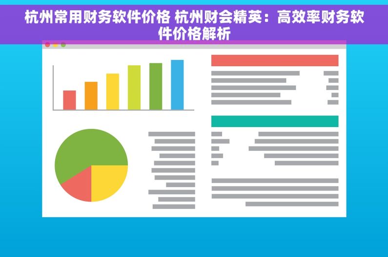 杭州常用财务软件价格 杭州财会精英：高效率财务软件价格解析