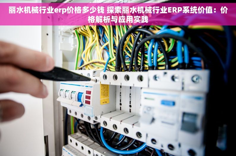 丽水机械行业erp价格多少钱 探索丽水机械行业ERP系统价值：价格解析与应用实践