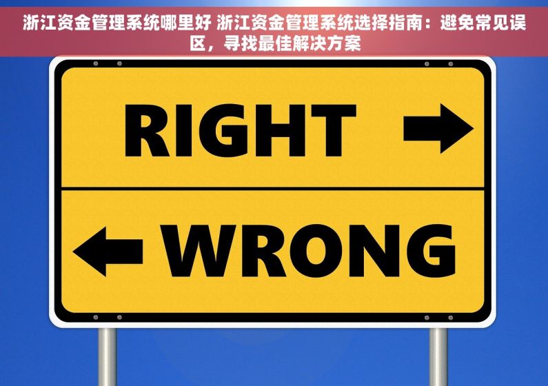 浙江资金管理系统哪里好 浙江资金管理系统选择指南：避免常见误区，寻找最佳解决方案