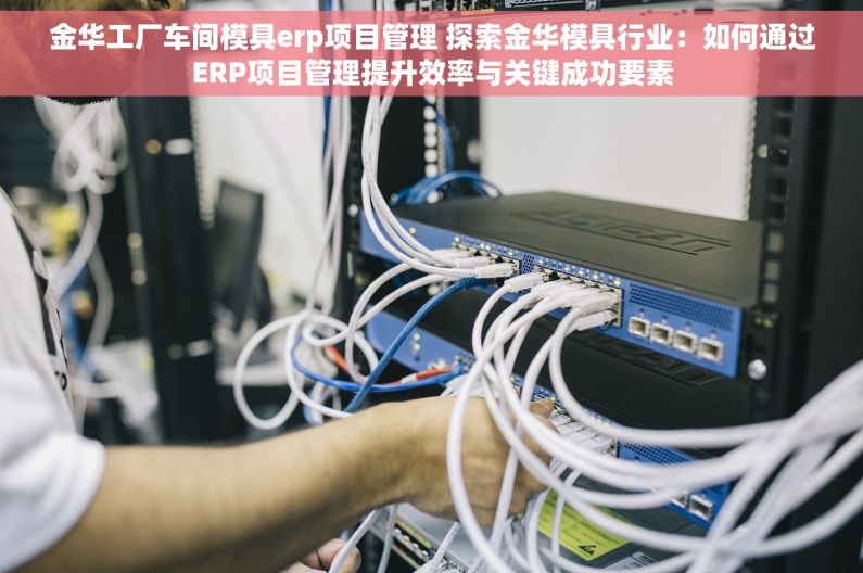 金华工厂车间模具erp项目管理 探索金华模具行业：如何通过ERP项目管理提升效率与关键成功要素
