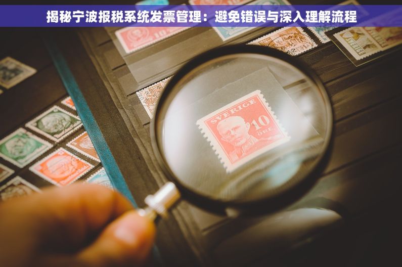 揭秘宁波报税系统发票管理：避免错误与深入理解流程