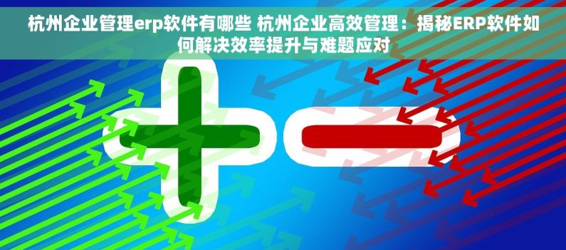 杭州企业管理erp软件有哪些 杭州企业高效管理：揭秘ERP软件如何解决效率提升与难题应对