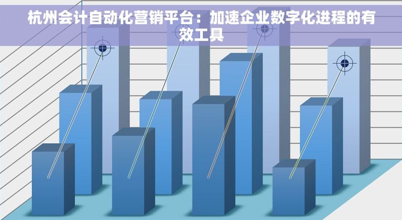 杭州会计自动化营销平台：加速企业数字化进程的有效工具