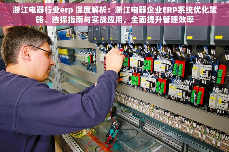 浙江电器行业erp 深度解析：浙江电器企业ERP系统优化策略、选择指南与实战应用，全面提升管理效率