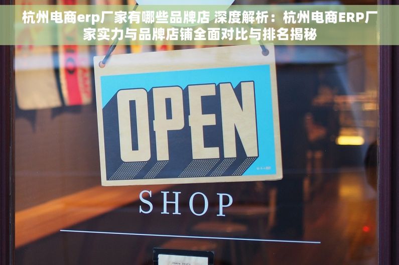 杭州电商erp厂家有哪些品牌店 深度解析：杭州电商ERP厂家实力与品牌店铺全面对比与排名揭秘