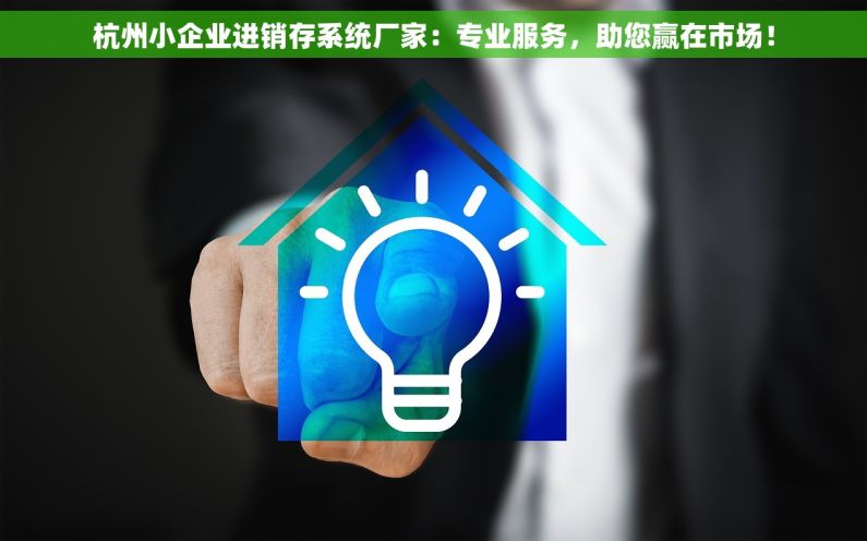 杭州小企业进销存系统厂家：专业服务，助您赢在市场！