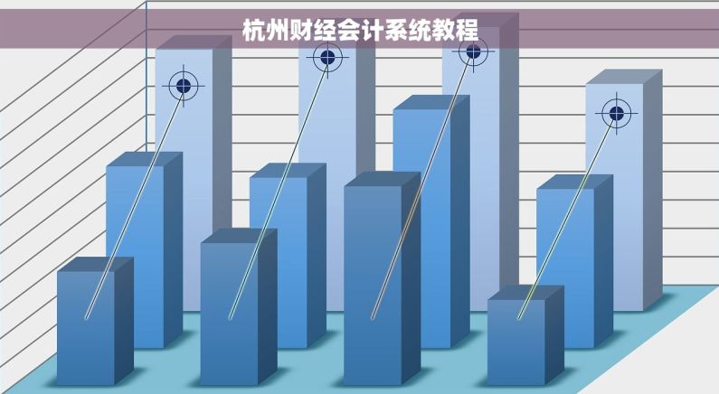 杭州财经会计系统教程