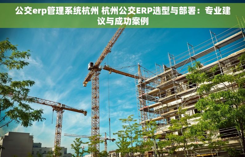 公交erp管理系统杭州 杭州公交ERP选型与部署：专业建议与成功案例