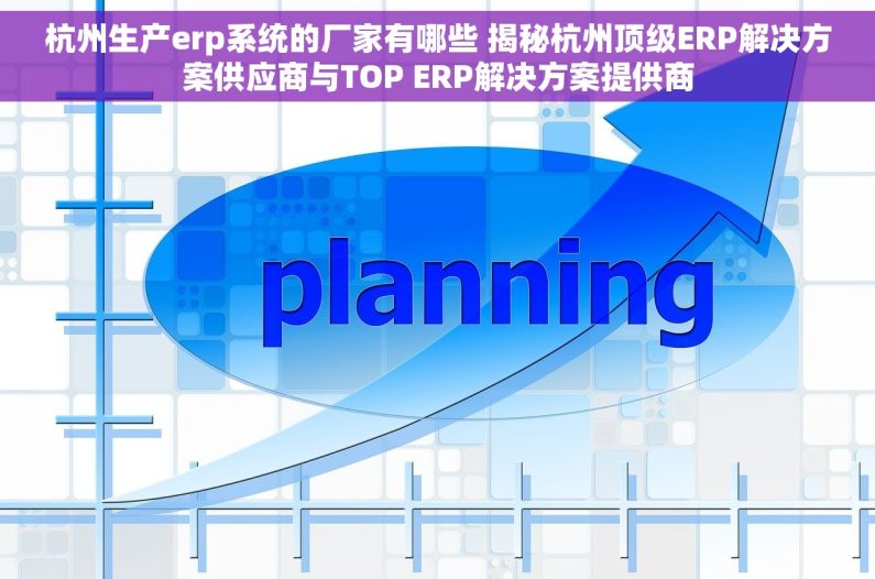 杭州生产erp系统的厂家有哪些 揭秘杭州顶级ERP解决方案供应商与TOP ERP解决方案提供商