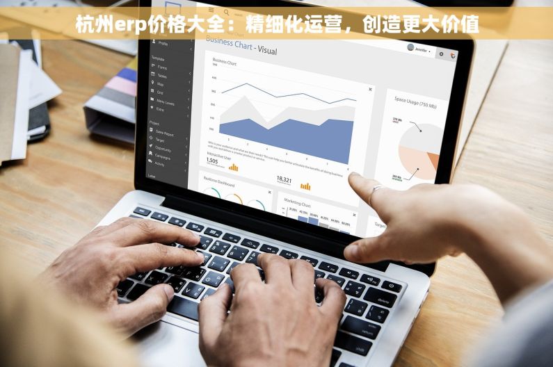 杭州erp价格大全：精细化运营，创造更大价值