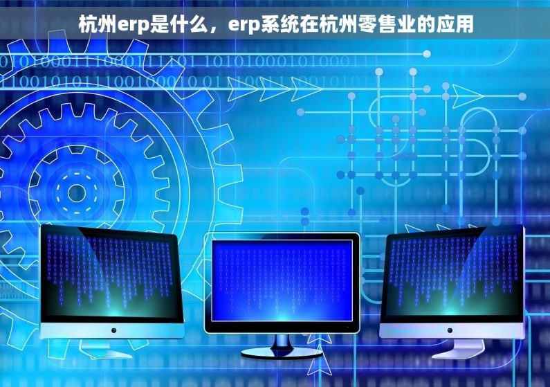 杭州erp是什么，erp系统在杭州零售业的应用
