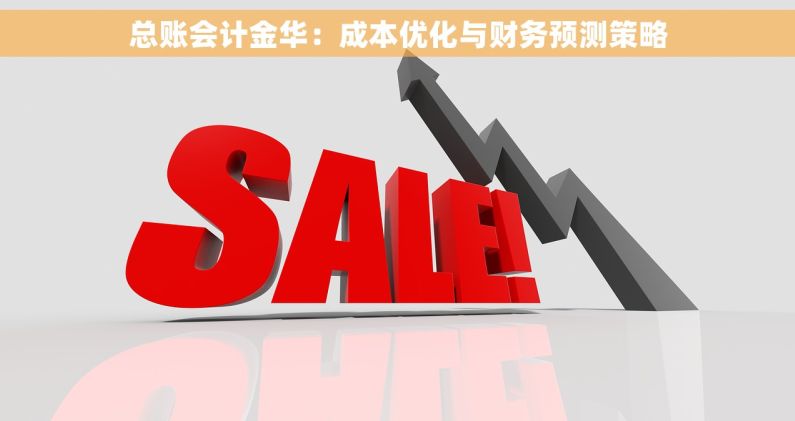 总账会计金华：成本优化与财务预测策略