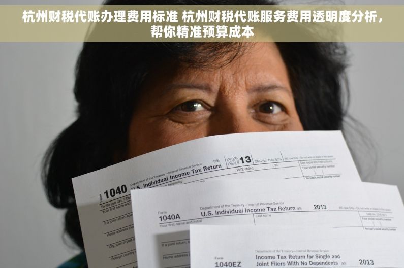 杭州财税代账办理费用标准 杭州财税代账服务费用透明度分析，帮你精准预算成本