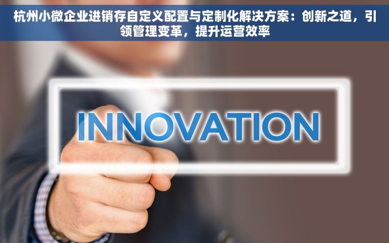 杭州小微企业进销存自定义配置与定制化解决方案：创新之道，引领管理变革，提升运营效率