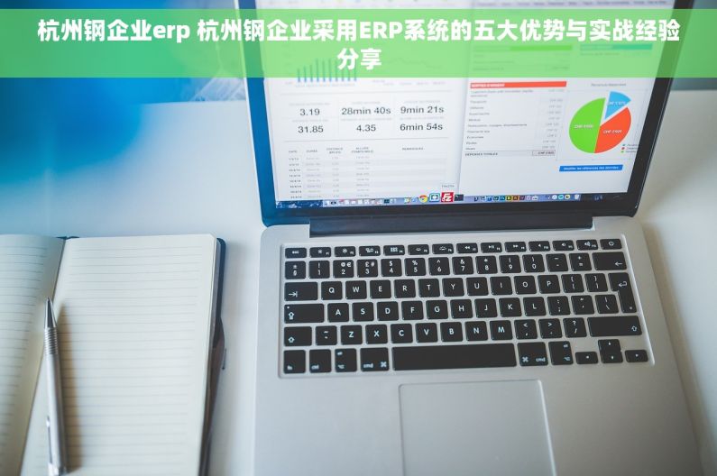 杭州钢企业erp 杭州钢企业采用ERP系统的五大优势与实战经验分享