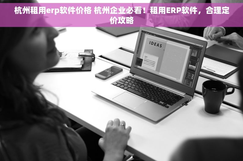 杭州租用erp软件价格 杭州企业必看！租用ERP软件，合理定价攻略