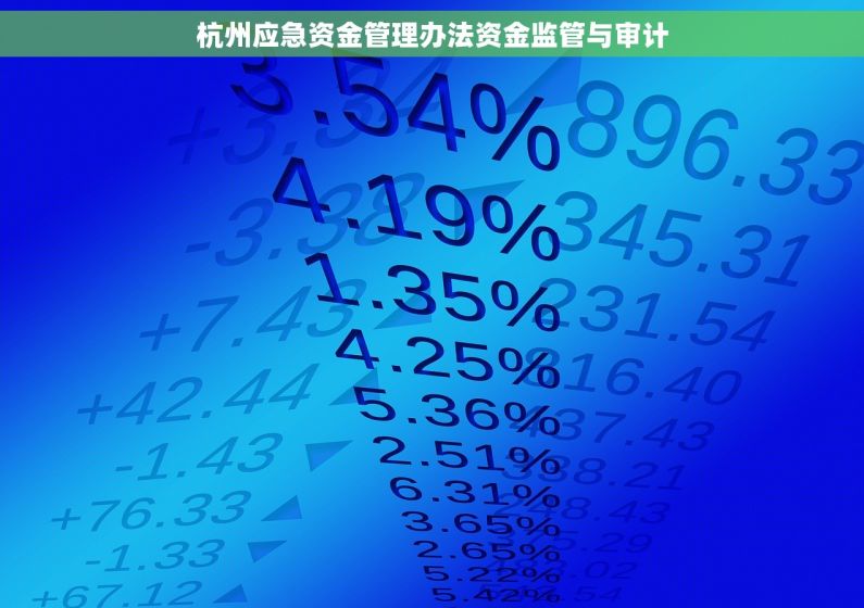 杭州应急资金管理办法资金监管与审计