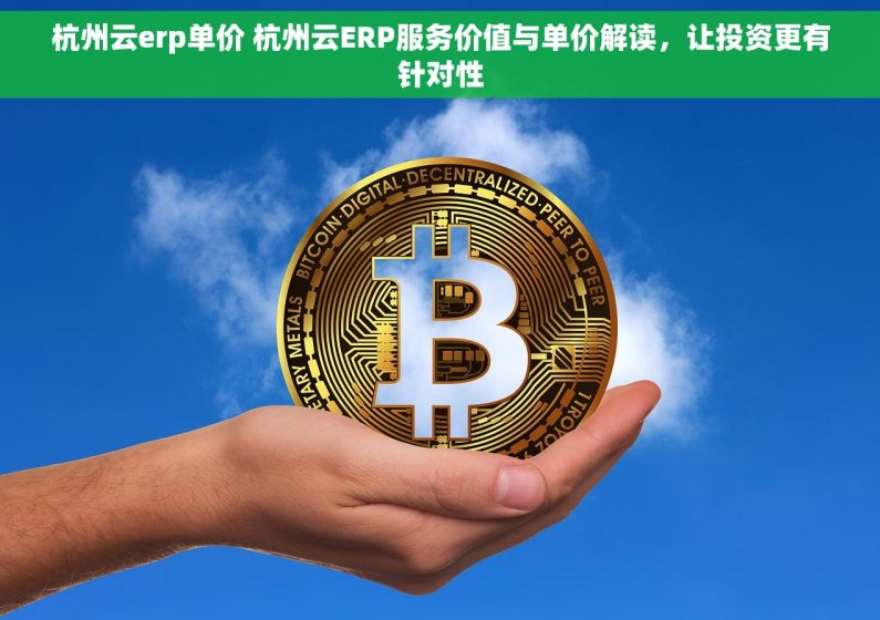 杭州云erp单价 杭州云ERP服务价值与单价解读，让投资更有针对性