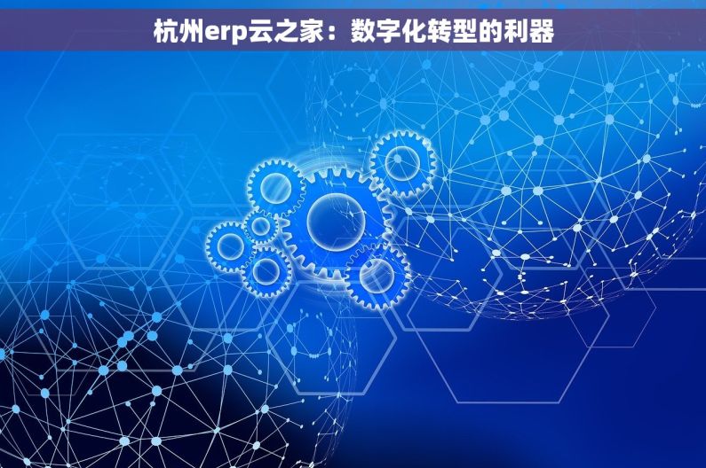 杭州erp云之家：数字化转型的利器