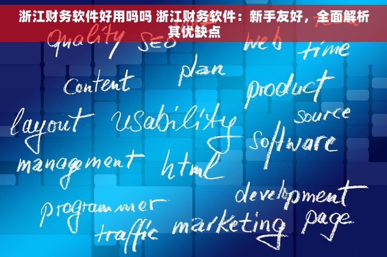 浙江财务软件好用吗吗 浙江财务软件：新手友好，全面解析其优缺点