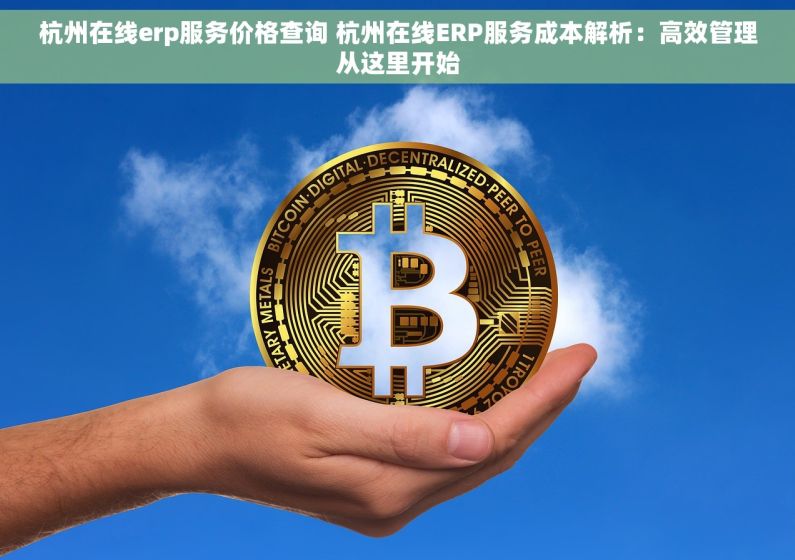 杭州在线erp服务价格查询 杭州在线ERP服务成本解析：高效管理从这里开始