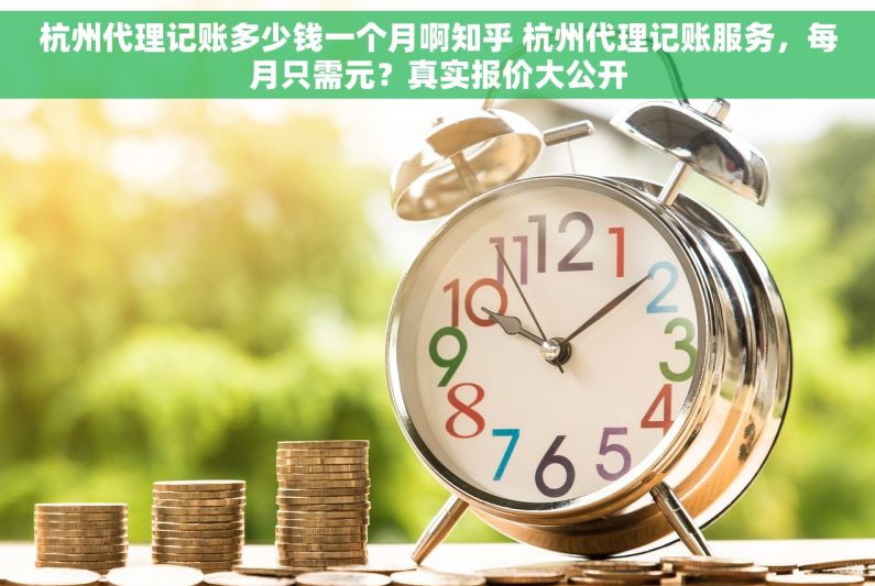 杭州代理记账多少钱一个月啊知乎 杭州代理记账服务，每月只需元？真实报价大公开