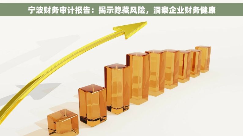 宁波财务审计报告：揭示隐藏风险，洞察企业财务健康