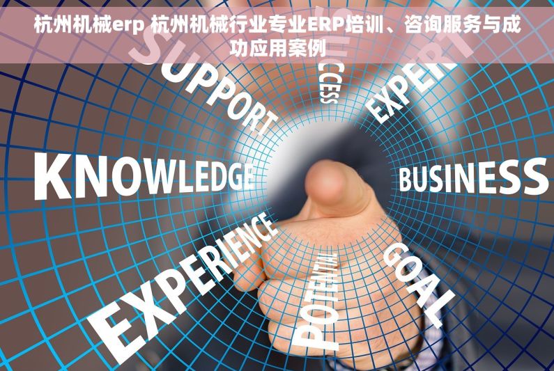 杭州机械erp 杭州机械行业专业ERP培训、咨询服务与成功应用案例