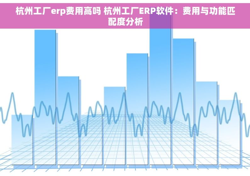 杭州工厂erp费用高吗 杭州工厂ERP软件：费用与功能匹配度分析