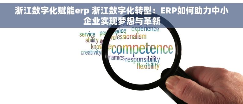 浙江数字化赋能erp 浙江数字化转型：ERP如何助力中小企业实现梦想与革新