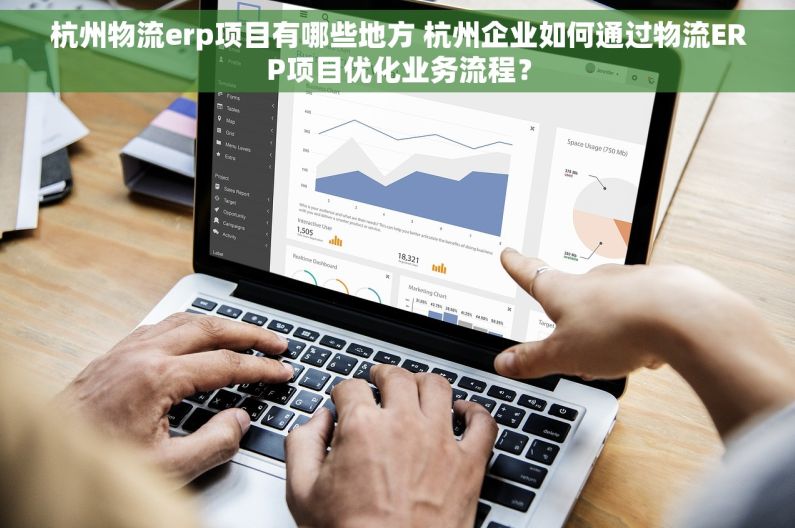 杭州物流erp项目有哪些地方 杭州企业如何通过物流ERP项目优化业务流程？