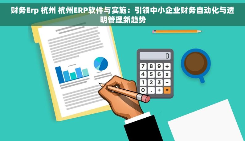 财务Erp 杭州 杭州ERP软件与实施：引领中小企业财务自动化与透明管理新趋势