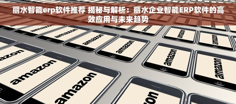 丽水智能erp软件推荐 揭秘与解析：丽水企业智能ERP软件的高效应用与未来趋势