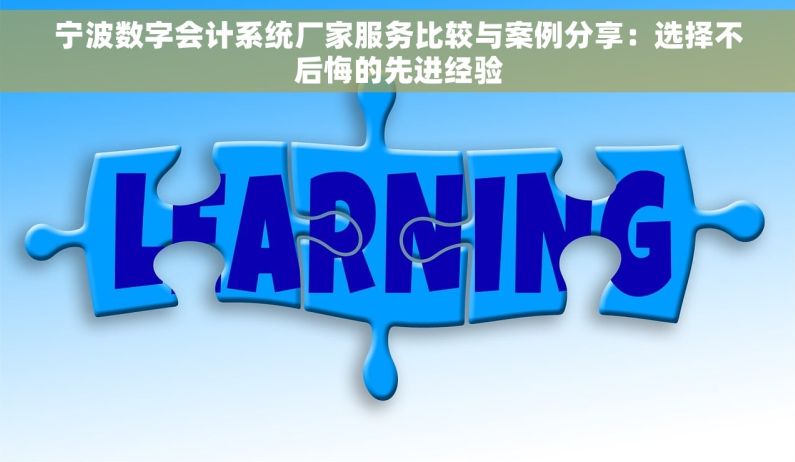 宁波数字会计系统厂家服务比较与案例分享：选择不后悔的先进经验