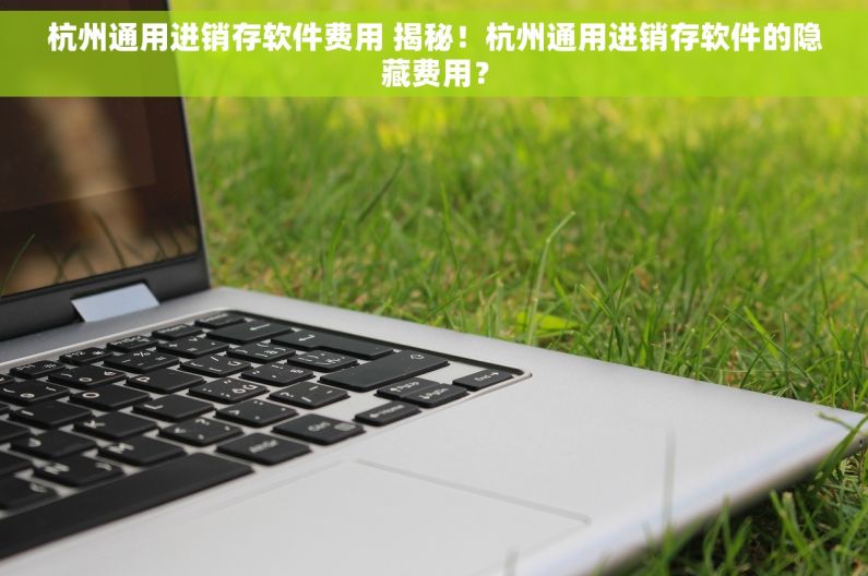 杭州通用进销存软件费用 揭秘！杭州通用进销存软件的隐藏费用？