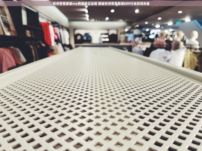 杭州零售服装erp有哪些企业做 揭秘杭州零售服装ERP行业的领先者