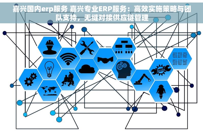 嘉兴国内erp服务 嘉兴专业ERP服务：高效实施策略与团队支持，无缝对接供应链管理