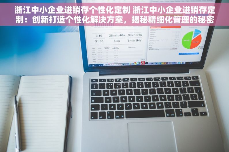 浙江中小企业进销存个性化定制 浙江中小企业进销存定制：创新打造个性化解决方案，揭秘精细化管理的秘密