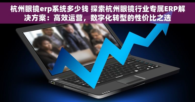 杭州眼镜erp系统多少钱 探索杭州眼镜行业专属ERP解决方案：高效运营，数字化转型的性价比之选