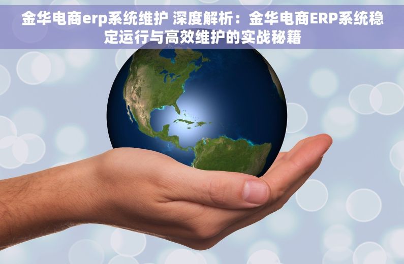 金华电商erp系统维护 深度解析：金华电商ERP系统稳定运行与高效维护的实战秘籍