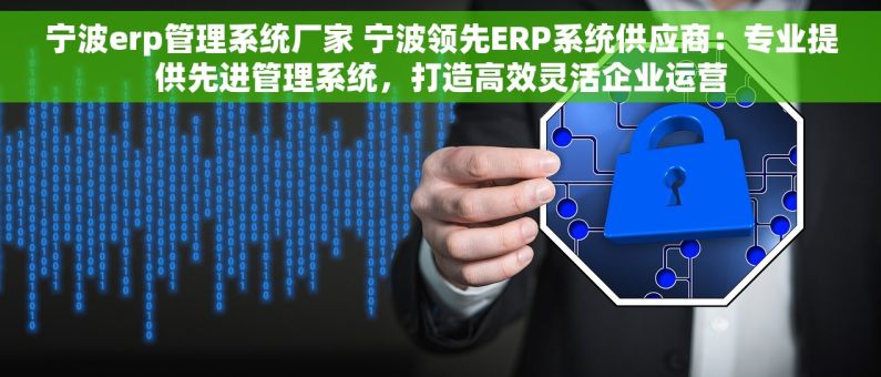 宁波erp管理系统厂家 宁波领先ERP系统供应商：专业提供先进管理系统，打造高效灵活企业运营