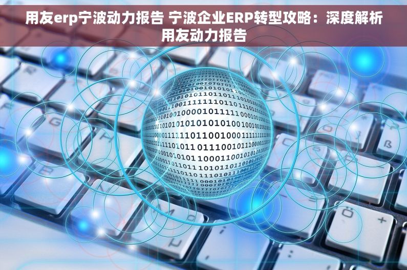 用友erp宁波动力报告 宁波企业ERP转型攻略：深度解析用友动力报告