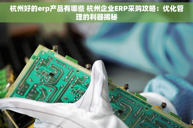 杭州好的erp产品有哪些 杭州企业ERP采购攻略：优化管理的利器揭秘