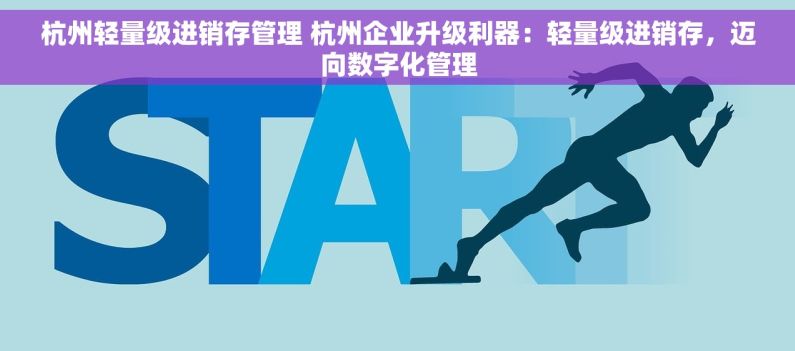 杭州轻量级进销存管理 杭州企业升级利器：轻量级进销存，迈向数字化管理