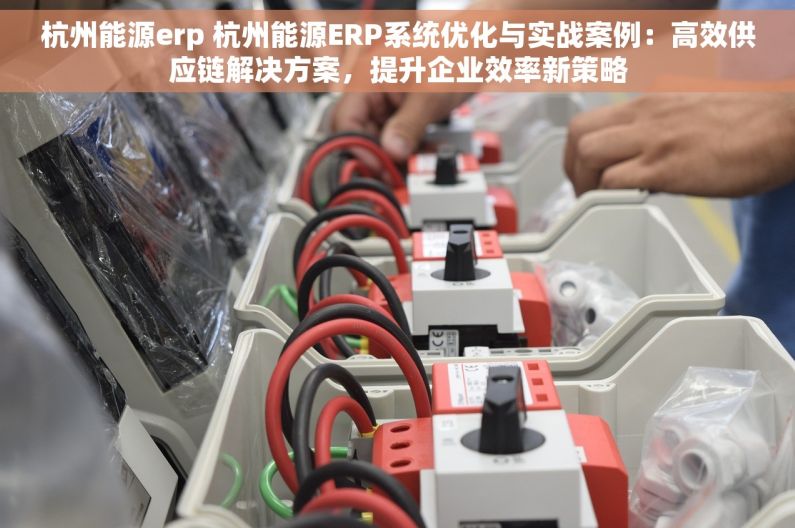 杭州能源erp 杭州能源ERP系统优化与实战案例：高效供应链解决方案，提升企业效率新策略