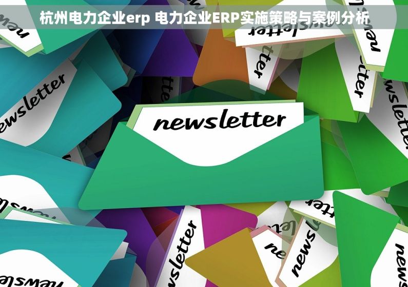 杭州电力企业erp 电力企业ERP实施策略与案例分析