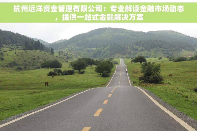 杭州远洋资金管理有限公司：专业解读金融市场动态，提供一站式金融解决方案