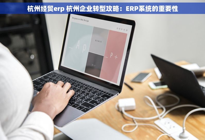 杭州经贸erp 杭州企业转型攻略：ERP系统的重要性