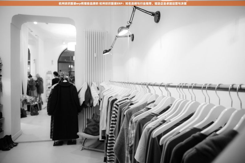 杭州纺织服装erp有哪些品牌的 杭州纺织服装ERP：知名品牌与行业推荐，驱动企业卓越运营与决策